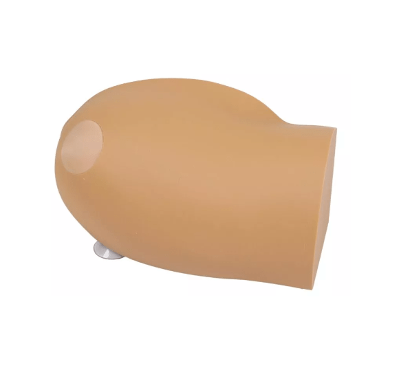 Amy Arm - intraossärer Task Trainer - Erler - Zimmer